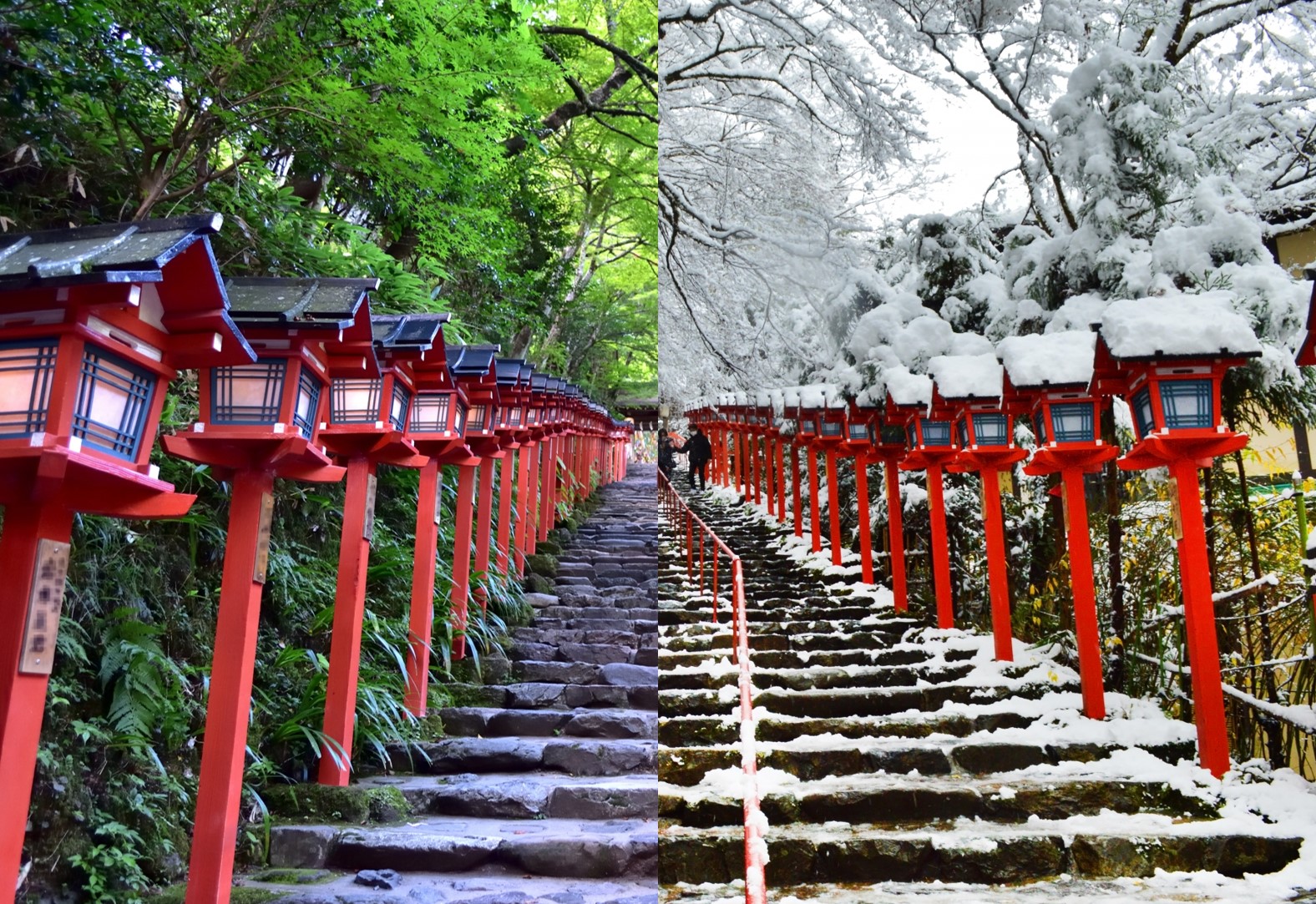 京都留學生活的春夏秋冬